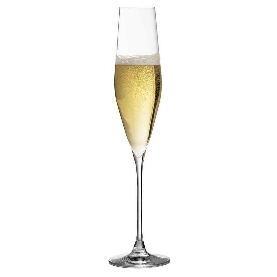 Bilde av Champagnefløyte - Bacci - Krystallglass - Urban Bar
